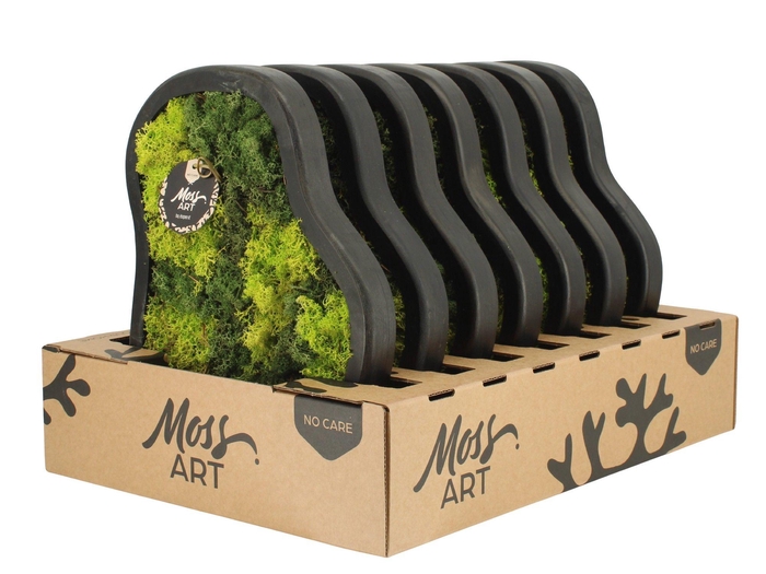 <h4>90781: Moss Art arrangement D36</h4>