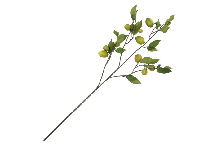 <h4>Silk Lemon Branch Yellow/green 135cm Nm</h4>