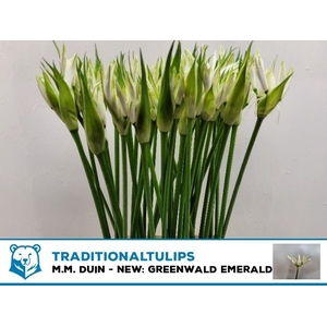 NE BO  GREENW EMERAL