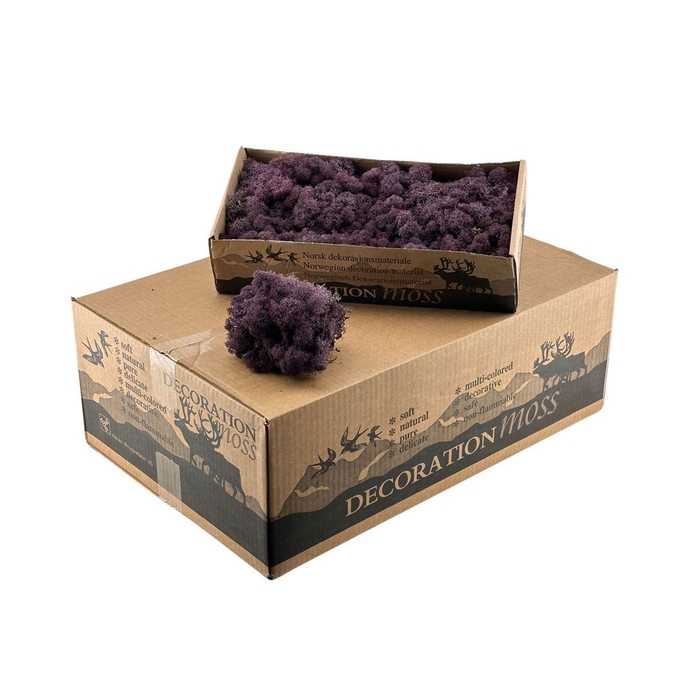 <h4>Ijslandsmos Aubergine</h4>