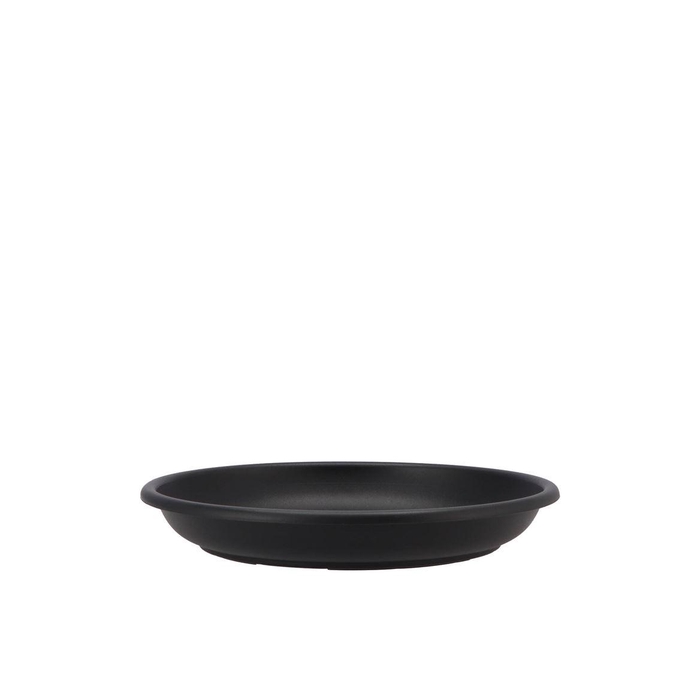 <h4>Floristry Plate 24cm P/10 Black</h4>