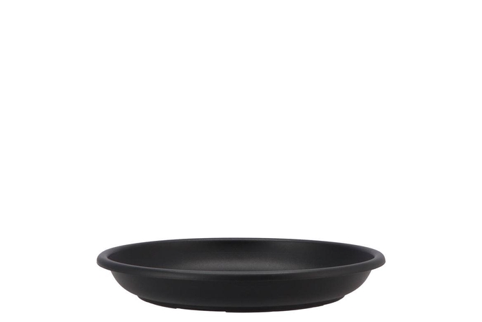 <h4>Floristry Plate 24cm P/10 Black</h4>