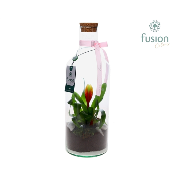 Green Bottle Fles Medium met Bromelia