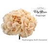HYDR M SOFT CARAMEL 70 CM