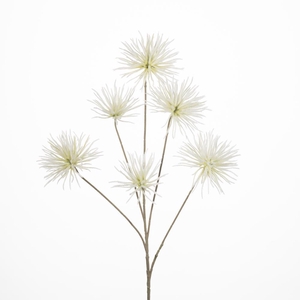 AF Anemone seed spr/6 L96cm wh