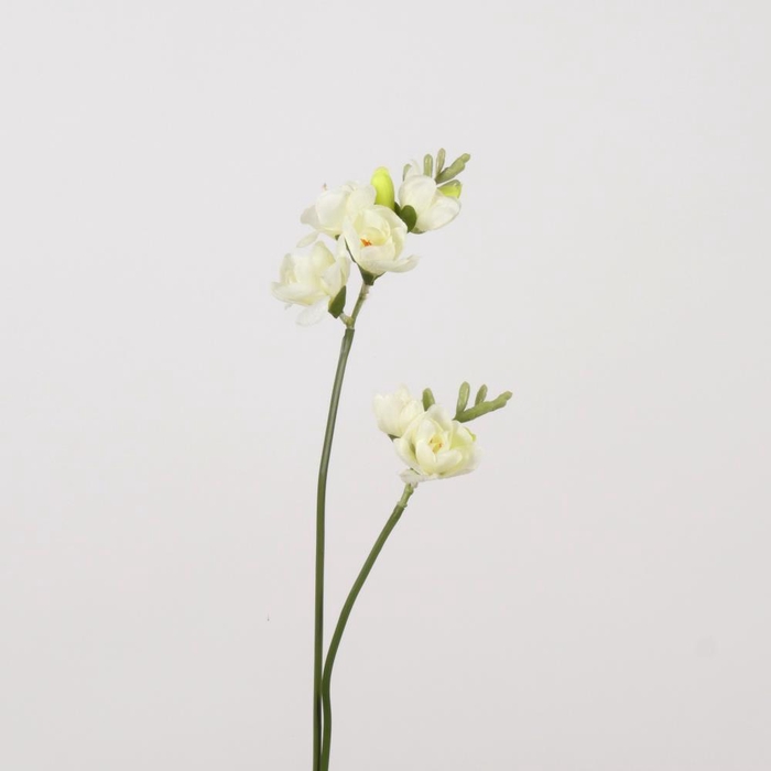 <h4>AF Freesia x2 L74cm White</h4>