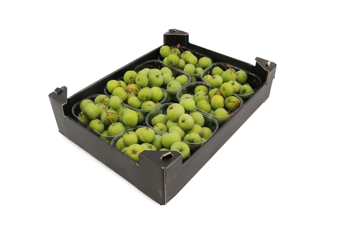 <h4>Appels Malus Groen 8x</h4>