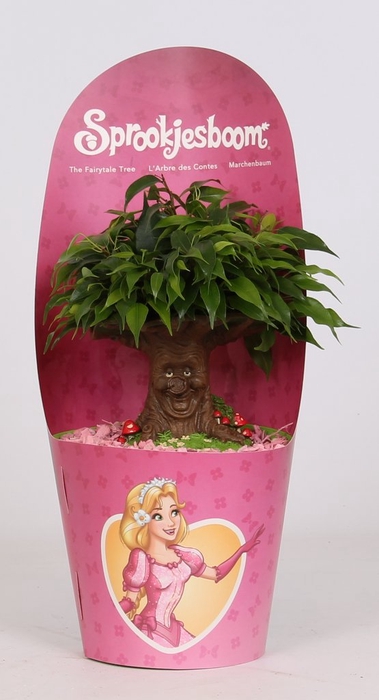 <h4>Ficus Be Green Kinky Sprookjesboom Cinderella</h4>