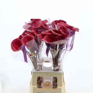 Calla Tokyo | Heavy Quality