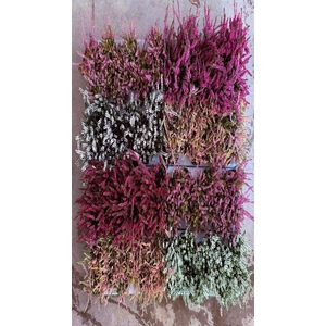 CALLU MIXK 5 KL