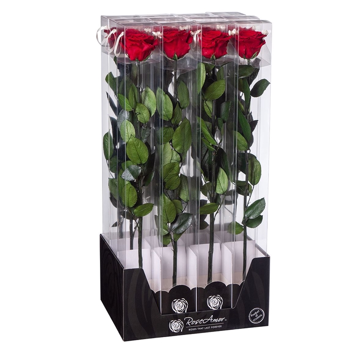 <h4>Display 60cm Stem Red01</h4>