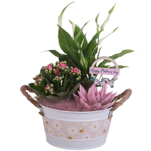 Mothersday Arr. Indoor Zinc White + Flowers & Bees Ø17cm 3PP