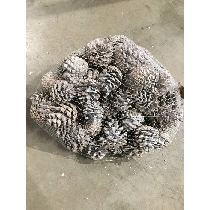 <h4>DENAPPEL OOSTENRIJKER 1KG FROSTED WHITE</h4>