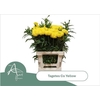 Tage E Co Yellow
