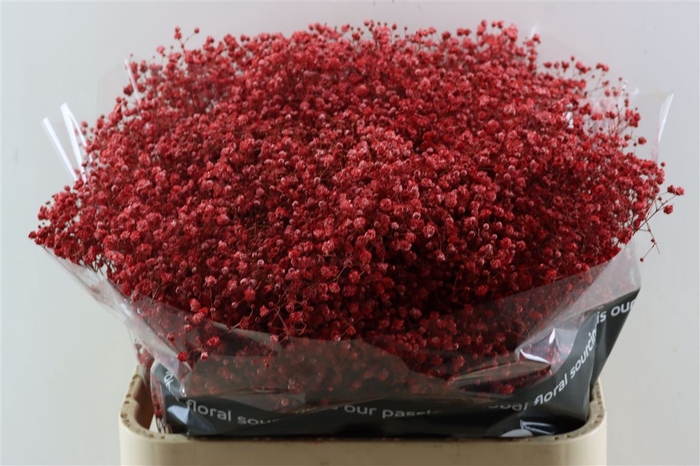 <h4>Gyps Grof Red (dip)</h4>