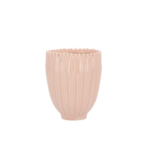 Bloom Daisy Dreamy Peach Cup 8x8x9cm Nm