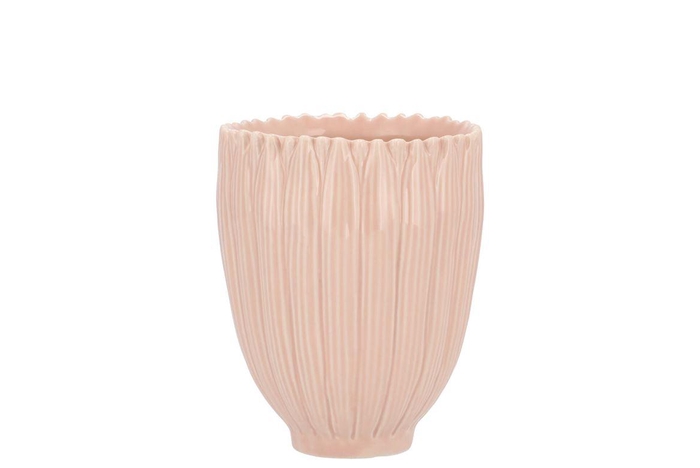 <h4>Bloom Daisy Dreamy Peach Cup 8x8x9cm Nm</h4>