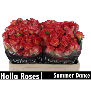 R TR SUMMER DANCE