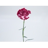 CRAVO BACCARAT 060 CM