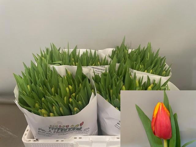 <h4>TU EN DOW JONES</h4>