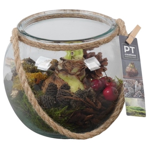 PTAA7578 Arrangementen Hippeastrum