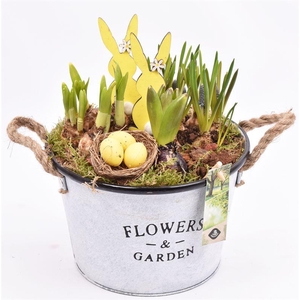 Zink teil Flowers & Garden 22cm