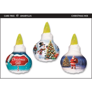 A.BULB of Art - 36cm Christmas Mix