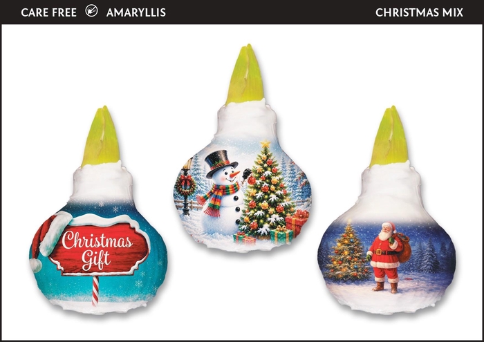 <h4>A.BULB of Art - 36cm Christmas Mix</h4>