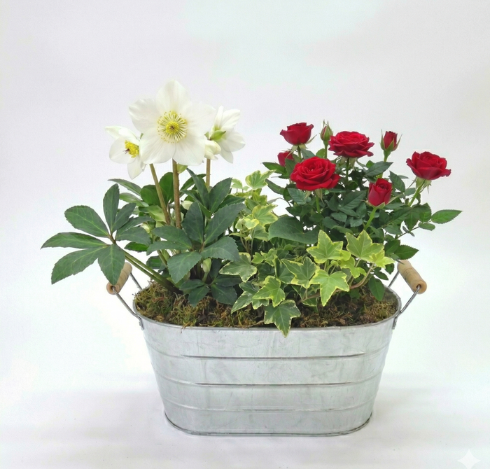<h4>assemblage pot zinc</h4>