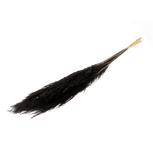 Bunch Gynerium 5 Pcs Slv L120