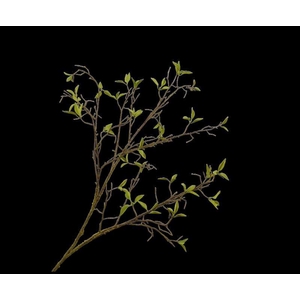 WILGENTAK GROEN 107 cm