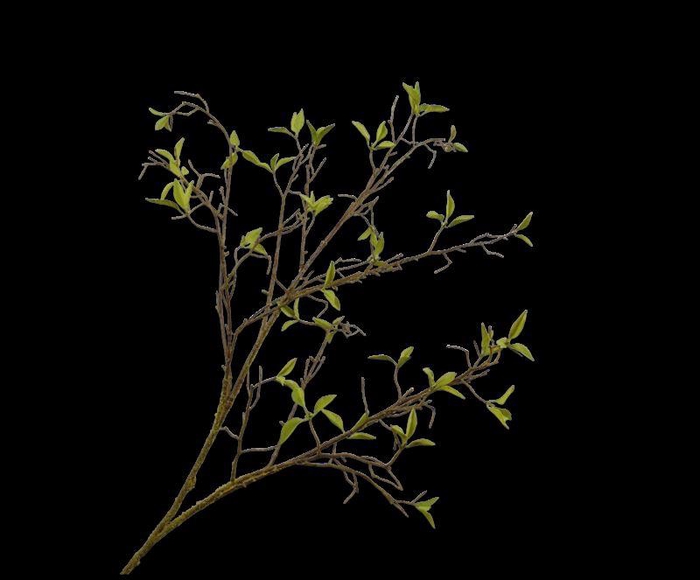 <h4>WILGENTAK  GROEN  107 cm</h4>