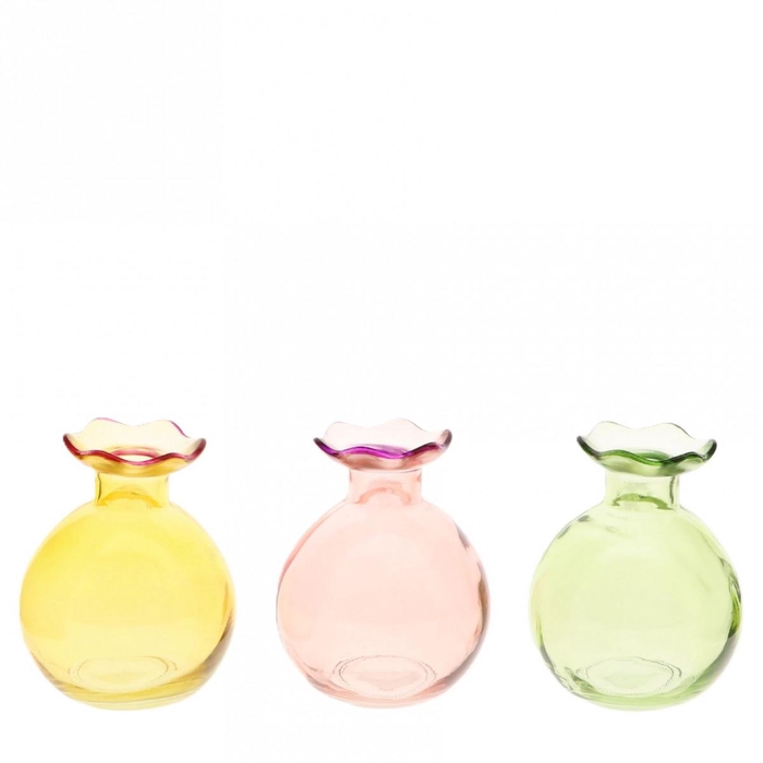 <h4>Glas Vaas Blossie d09*11cm</h4>