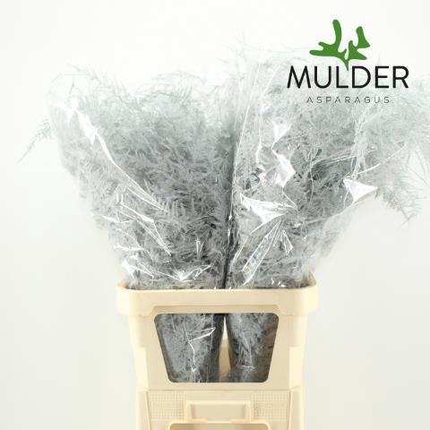 <h4>ASP OV KLB H%</h4>