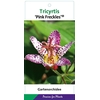Tricyrtis formosana