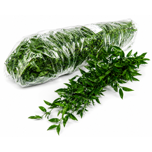 RUSCUS ZAK