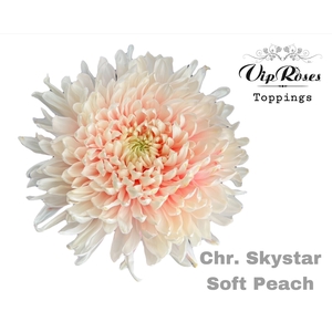 Chr G Skystar Soft Peach