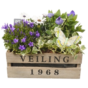 PTPP3046 Arrangementen Tuinplanten