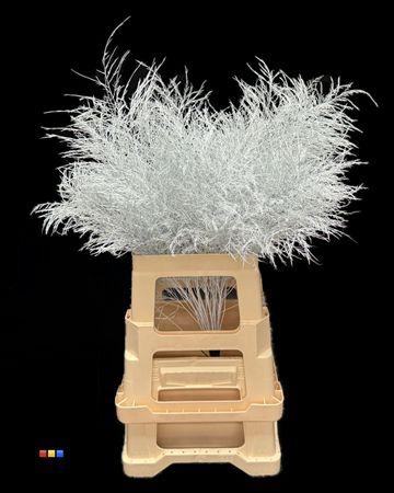 <h4>Treefern White</h4>