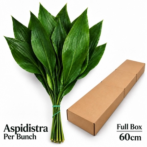 ASPID ELATIOR BS