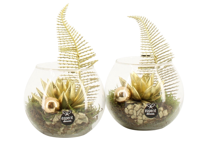 <h4>61893: X-mas arrangement</h4>