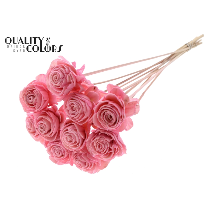 <h4>Shola Beauty Rose 6cm on stem Light Pink</h4>