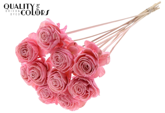 Shola Beauty Rose 6cm on stem Light Pink