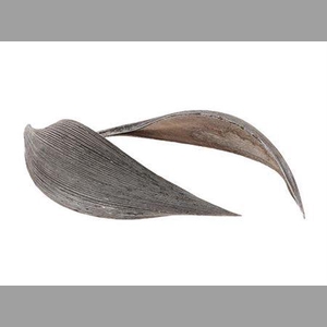 Coco Medium 10pc Frosted