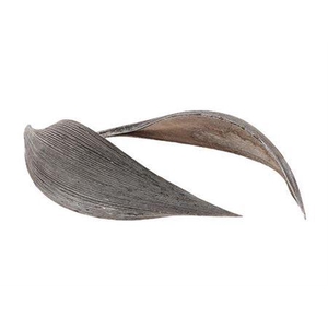 Coco Medium 10pc Frosted