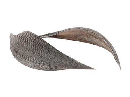 <h4>Coco Medium 10pc Frosted</h4>