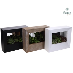 Houten schilderij met spiegel hout met Succulenten
