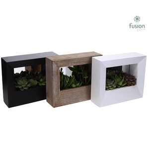 Houten schilderij met spiegel hout met Succulenten