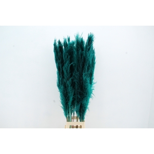 DF Pampas 130cm Petrol