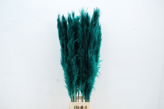 <h4>DF Pampas 130cm Petrol</h4>